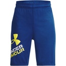 Under Armour UA Renegade 3.0 PRTD shorts modrá