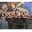 Deponia