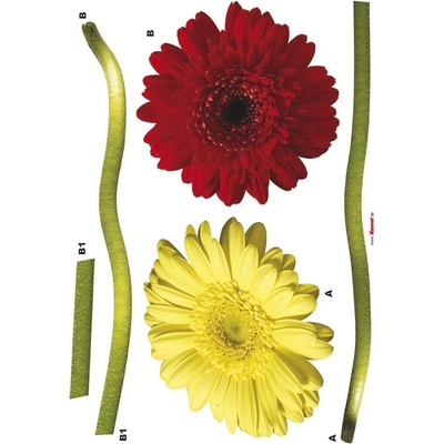 Komar 17011 Samolepicí dekorace na zeď Freestyle Gerbera, rozměry 50x70cm