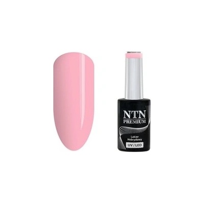 NTN Premium hybridní lak Birthday Party Collection 50 5 g