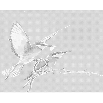 ZUTY Bodkovanie - DVA KOLIBRÍKY Rámovanie: bez rámu a bez vypnutia plátna, Rozmer: 40x50 cm