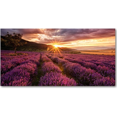 Fotoobraz na skle pole levanduľa 100x50 cm