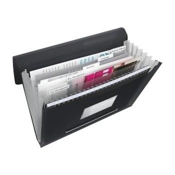 Esselte Briefcase with 6 compartments esselte vivida, black