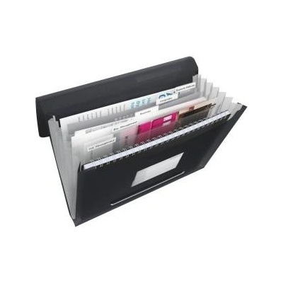 Esselte Briefcase with 6 compartments esselte vivida, black