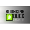 Bouncing Duck Simulator