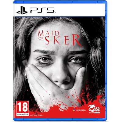 Perp Maid of Sker (PS5)