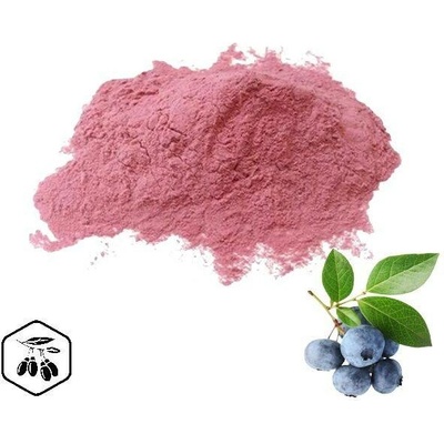 LifeChi Borůvka (Blueberry) extrakt v prášku 50 g