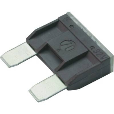 Poistka BOSCH 1 987 529 023