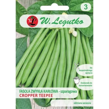 W. Legutko Cropper Teepee зелени шушулки джуджета зелен фасул - средно ранни