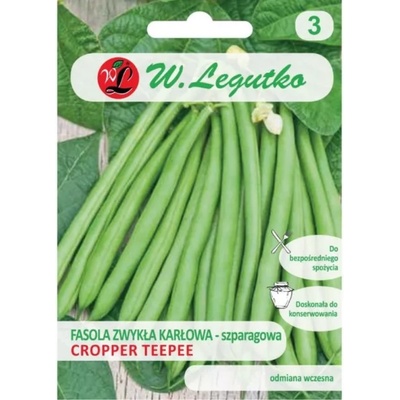 W. Legutko Cropper Teepee зелени шушулки джуджета зелен фасул - средно ранни
