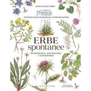 Erbe spontanee. Riconoscerle, raccoglierle e conservarle (2025)