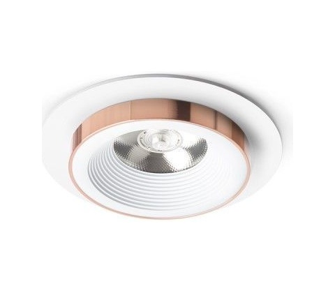 Rendl R13236