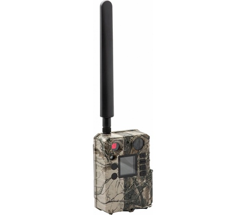 BolyGuard BG310-M