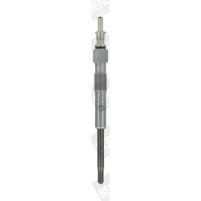 Żeraviaca sviečka BorgWarner (BERU) GN015