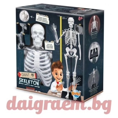 Buki France Образователен комплект Човешкото тяло, 85 см. , buki 2181 (bk2181)