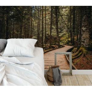 Art Gift Decor Фототапет Пътека в гората