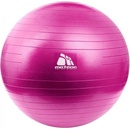 Fitness Meteor 55 cm