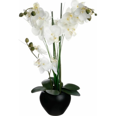 Atmosphera Orchidej v černém květináči 53 cm