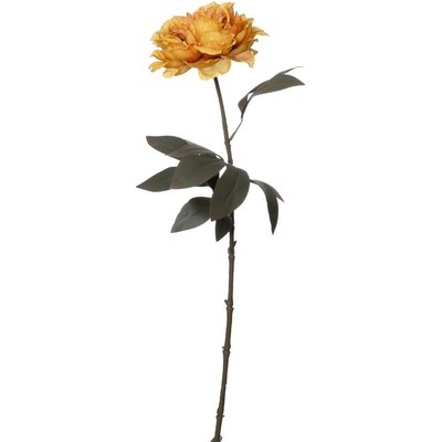 KS PIVÓNIA ŽLTÁ 68CM
