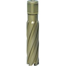 Karnasch 201650029