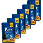 Brit Капсула BRIT Premium Cat Сьомга и Пъстърва 6 x 100 г