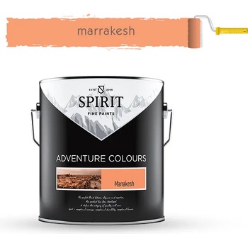 Image 1 of SPIRIT БОЯ ИНТЕРИОРНА spirit ac 2.5л marrakesh (20-101113)