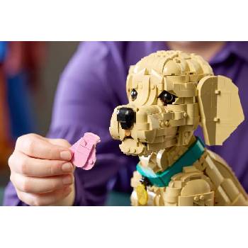 Image 1 of LEGO® ICONS™ - Golden Retriever Puppy (11384)