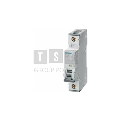 Siemens J 1P C 10A 5SY6110-7