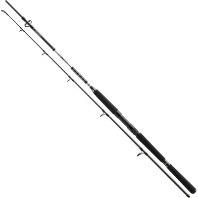 Daiwa BG Boat 2,1m 150-400g 2 diely
