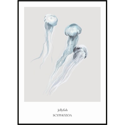 Jen tak z lásky Plakát Jellyfish Rozměr plakátu: 30 x 40 cm
