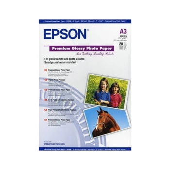 Epson C13S041