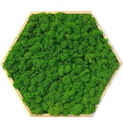 Machový obraz - Hexagon Veľkosť rámu: 26cm ( v najširšom bode )