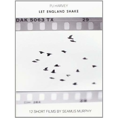 Pj Harvey: 12 Short Films That Shook DVD