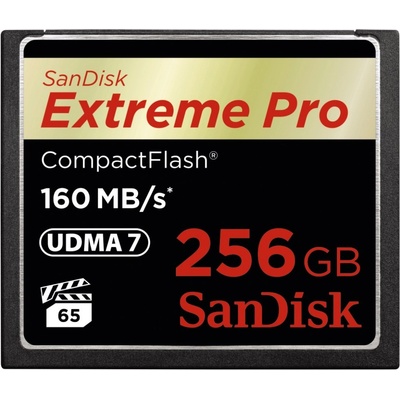 SanDisk Extreme Pro CompactFlash 256 GB SDCFXPS-256G-X46