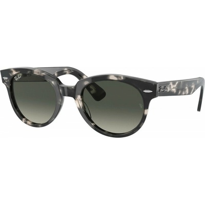 Ray-Ban RB2199 133371
