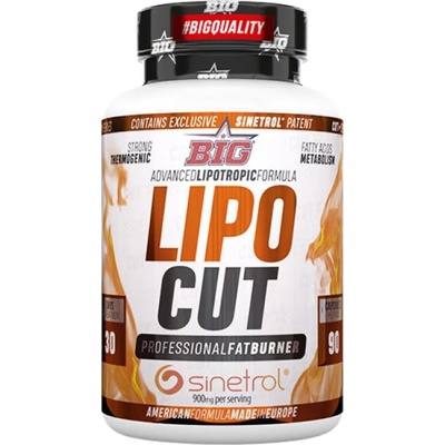 BIG Lipo Cut | Advanced Lipotropic Formula [90 капсули]