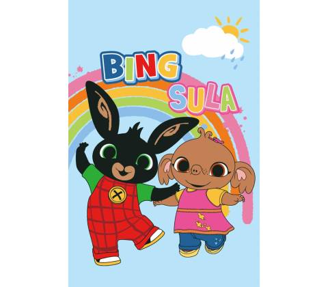 Aymax Modrá detská deka Bing a Sula