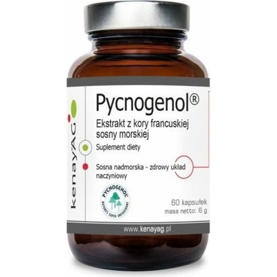 Kenay Pycnogenol Výťažok z kôry francúzskej prímorskej borovice 60 kapsúl