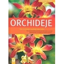 Orchideje
