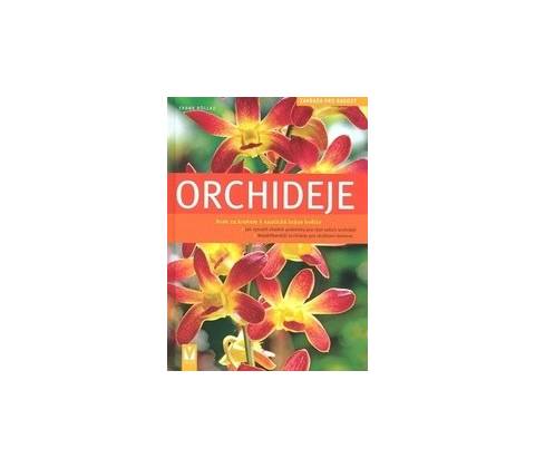 Orchideje