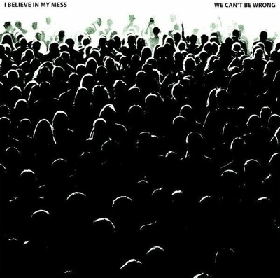 I Believe In My Mess - We Can't Be Wrong LP