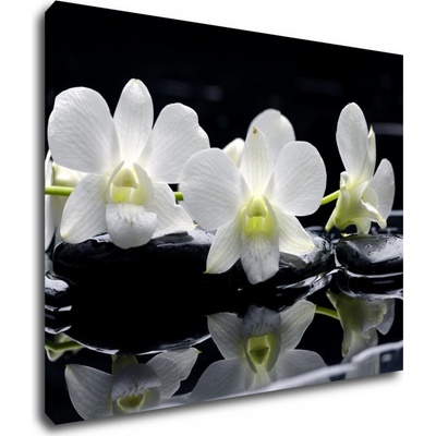 Impresi Obraz Bílé orchidee na černém pozadí - 90 x 70 cm