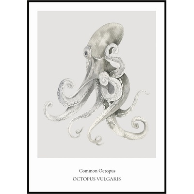 Jen tak z lásky Plakát Common Octopus Rozměr plakátu: 40 x 50 cm