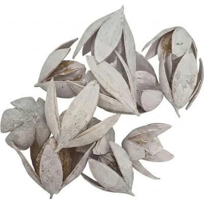 557 lily 4-7cm bielené 12ks