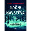 Noční návštěva