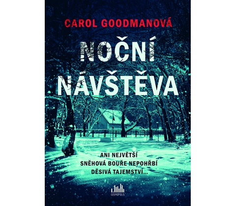 Noční návštěva