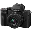 Digitální fotoaparáty Panasonic Lumix DC-G100D