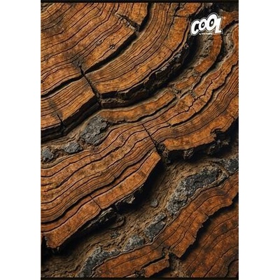 COOL BY VICTORIA Sešit Wood Rock mix motivů A4 čtverečkovaný