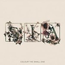 SIA: COLOUR THE SMALL ONE CD
