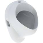 Geberit - Писоар, горно водоснабдяване, бял 502.885. 00.1 (502.885.00.1)